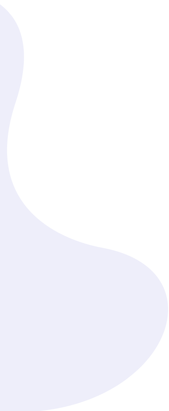 Web Development Company St Louis