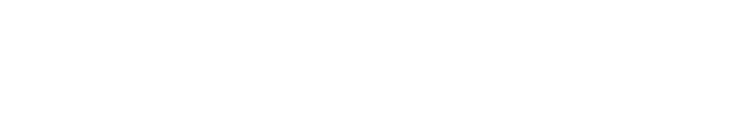 St Louis WordPress Web Designers